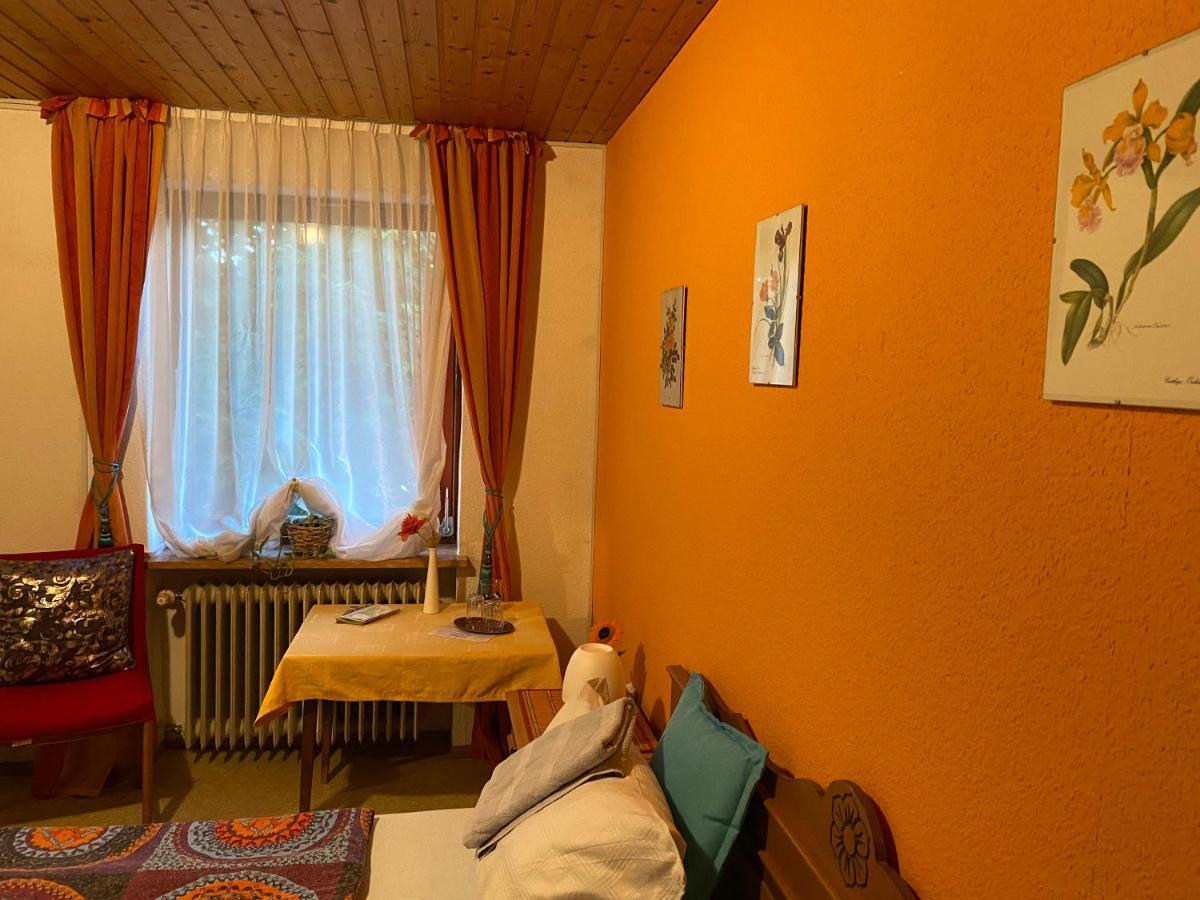 Pension Waldblick Spiegelau Buitenkant foto