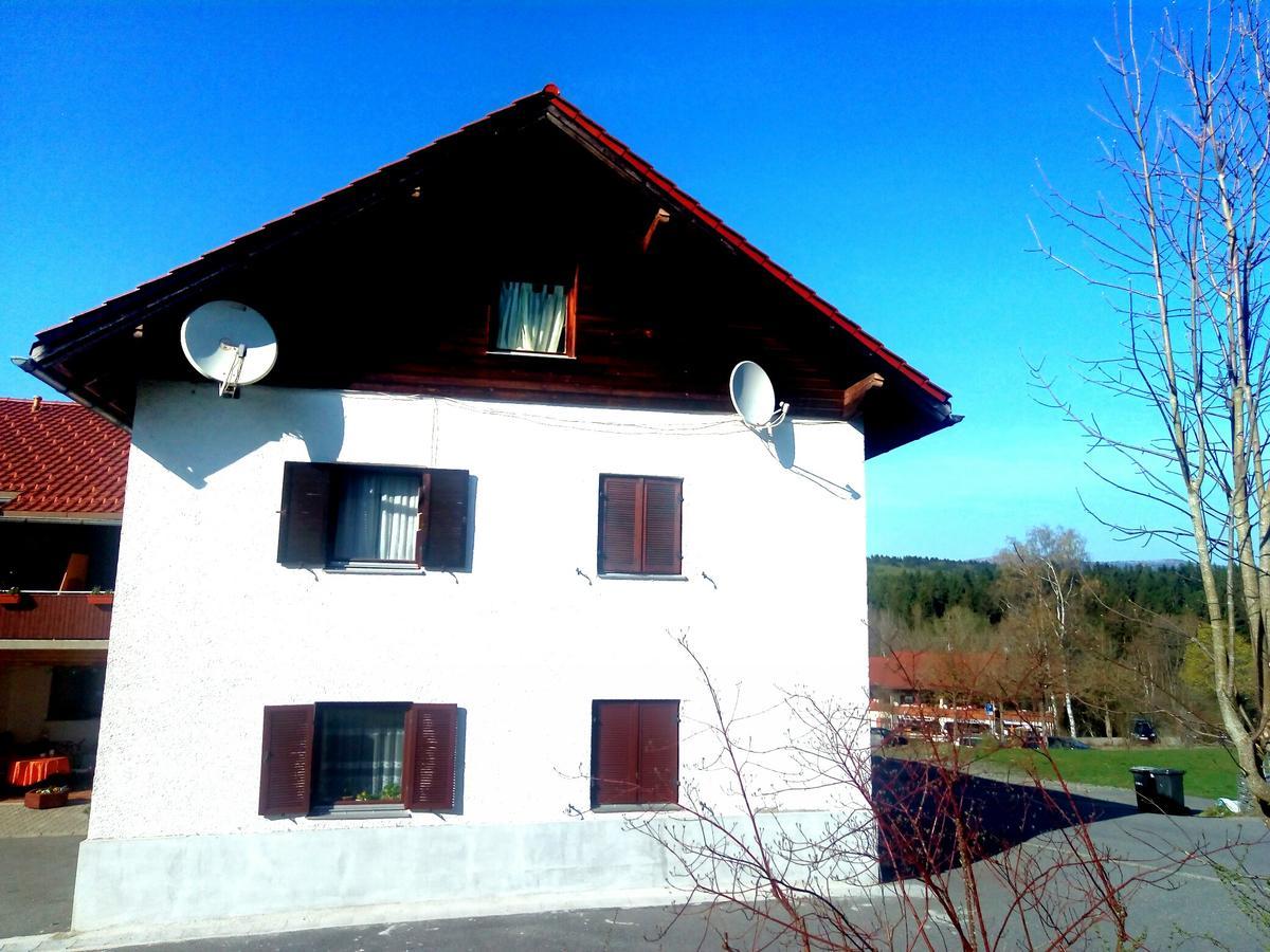 Pension Waldblick Spiegelau Buitenkant foto