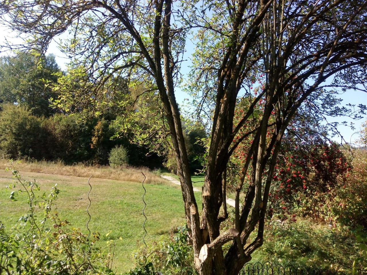 Pension Waldblick Spiegelau Buitenkant foto