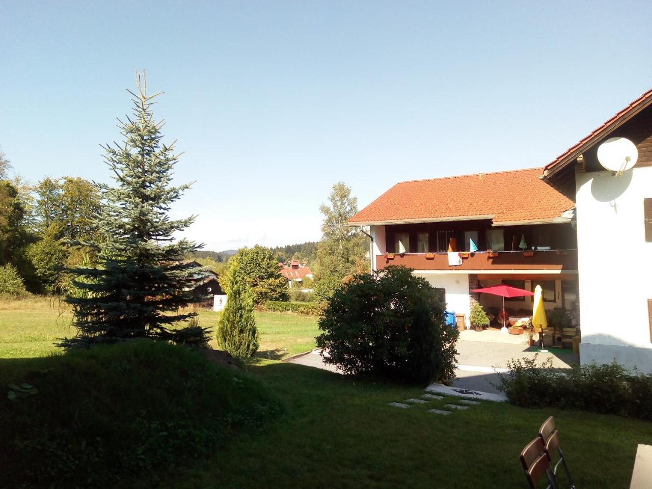 Pension Waldblick Spiegelau Buitenkant foto