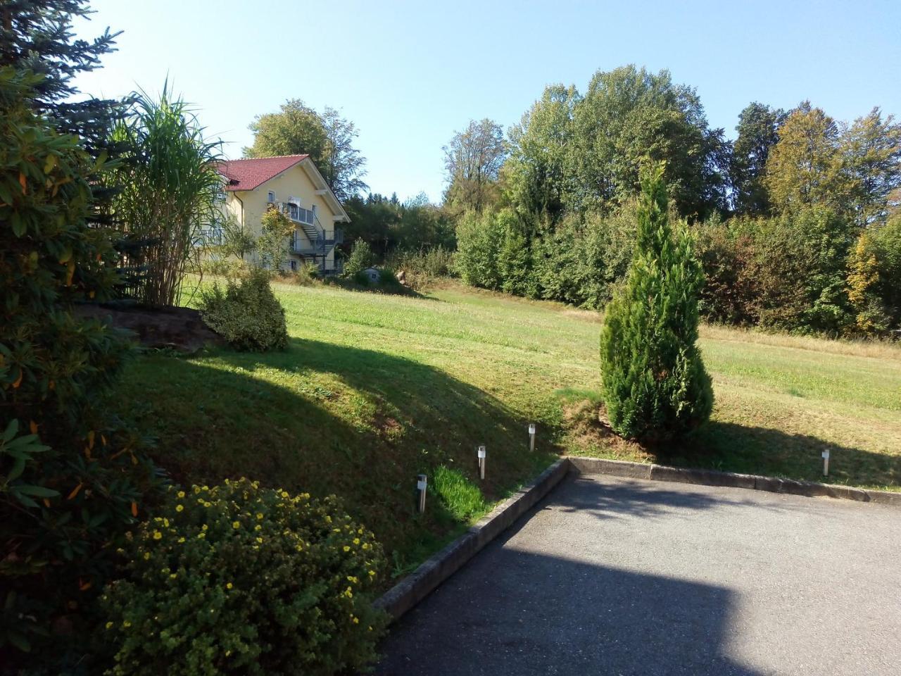 Pension Waldblick Spiegelau Buitenkant foto