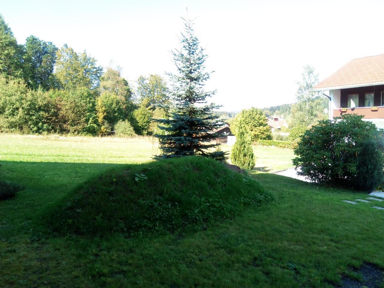 Pension Waldblick Spiegelau Buitenkant foto